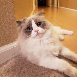 Meet your Posher, Joanne